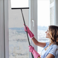 Telescopic Window Squeegee – Extendable Streak-Free Cleaner